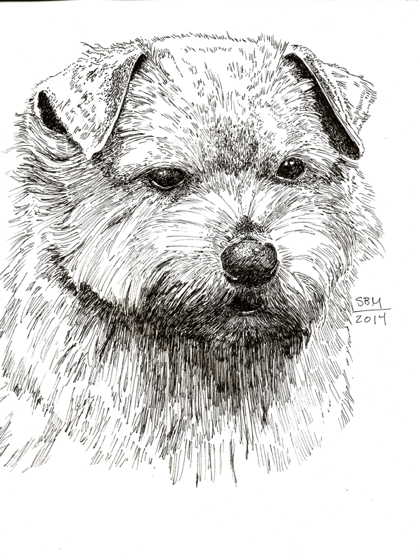 Norfolk Terrier Print