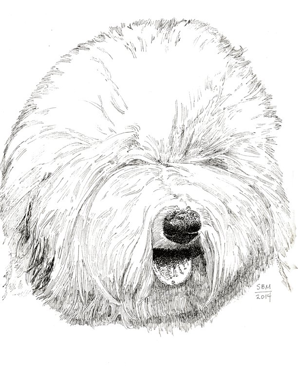 Old English Sheepdog Print