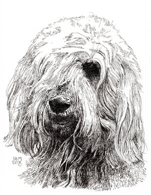 Otterhound Print