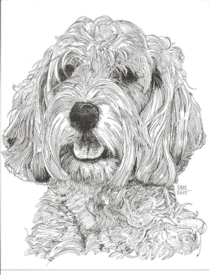 Petit Basset Griffon Vendeen Print