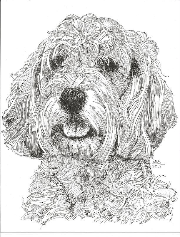 Petit Basset Griffon Vendeen Cards 10 Cards