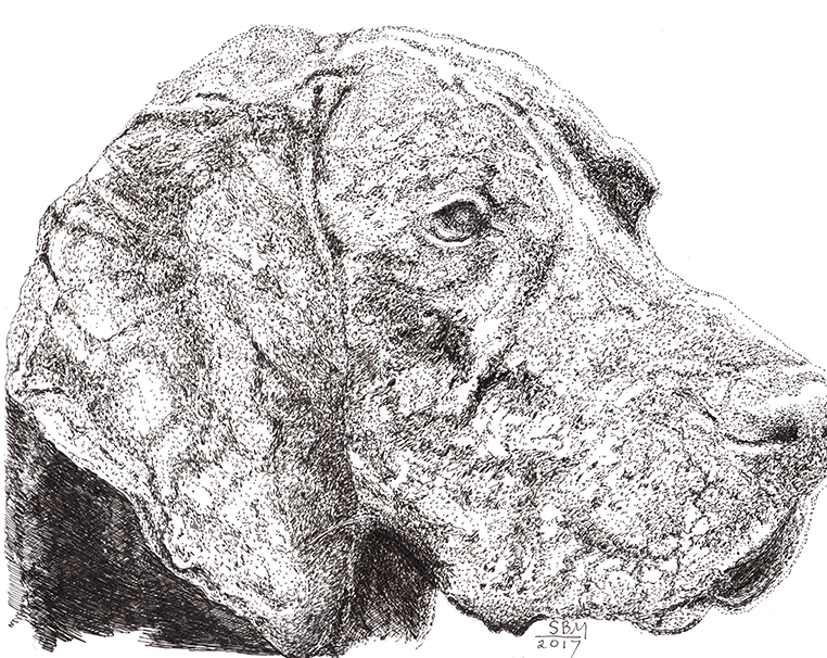 Plott Hound Cards 10 Cards