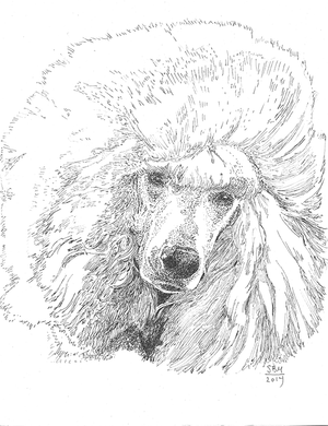 Poodle Standard Print