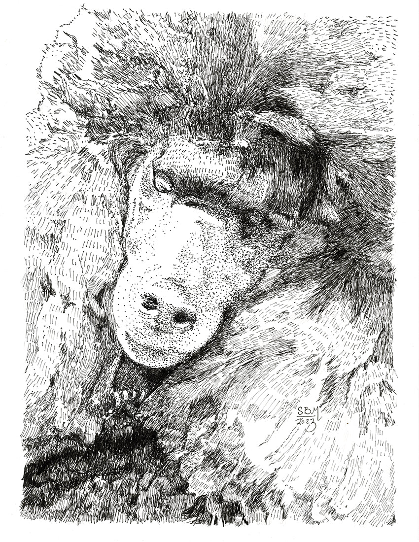 Poodle, Miniature Print