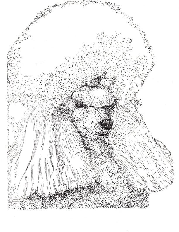 Poodle Toy Print