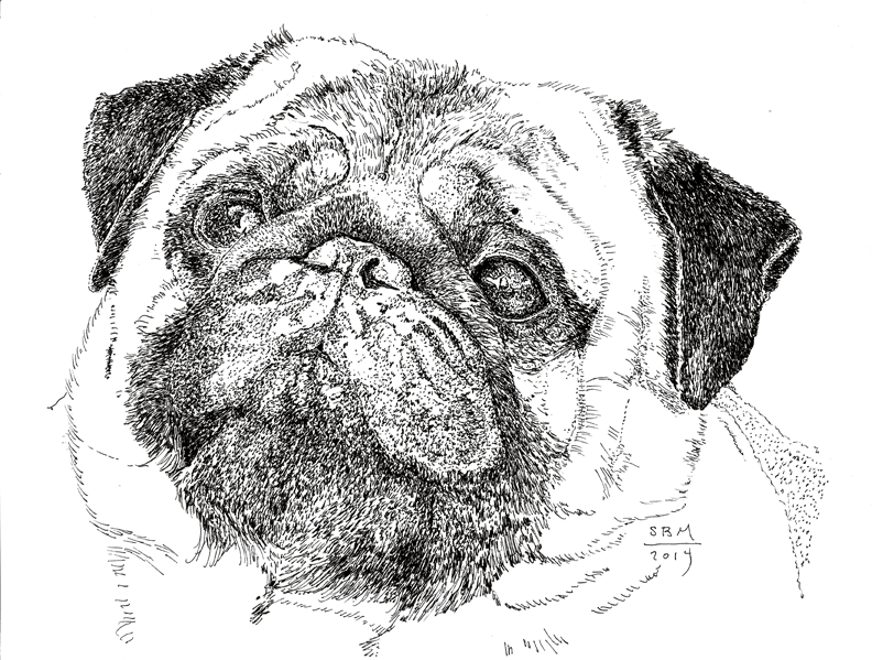 Pug Cards 10 cards