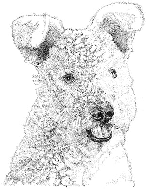 Pumi Print