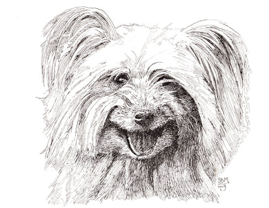Pyrenean Shepherd Cards 10 cards