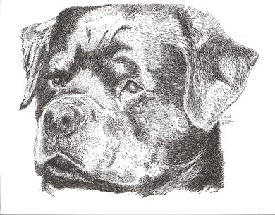 Rottweiler Cards 10 Cards