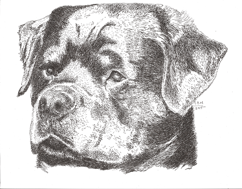 Rottweiler Cards 10 Cards