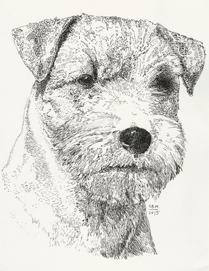 Russell Terrier Print