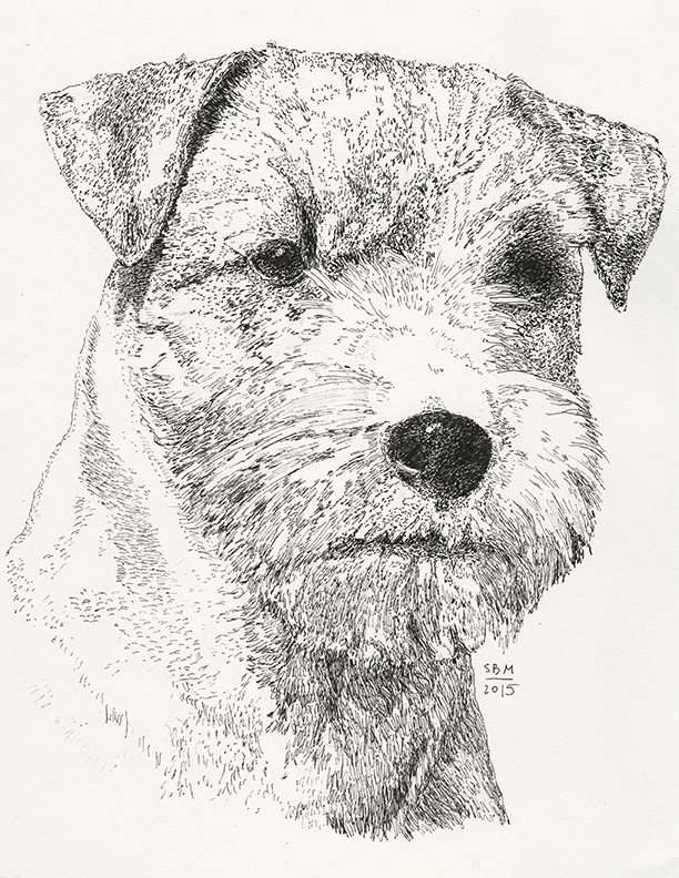 Russell Terrier Cards 10 cards