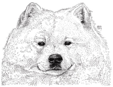 Samoyed Cards 10 Cards