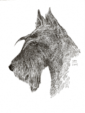 Scottish Terrier Cards 10 Cards