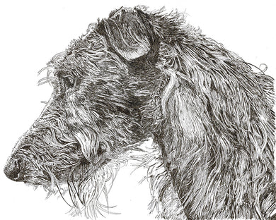 Scottish Deerhound Print