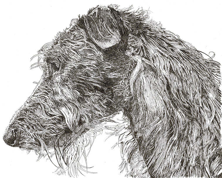Scottish Deerhound Cards 10 cards