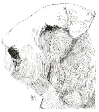 Sealyham Terrier Print