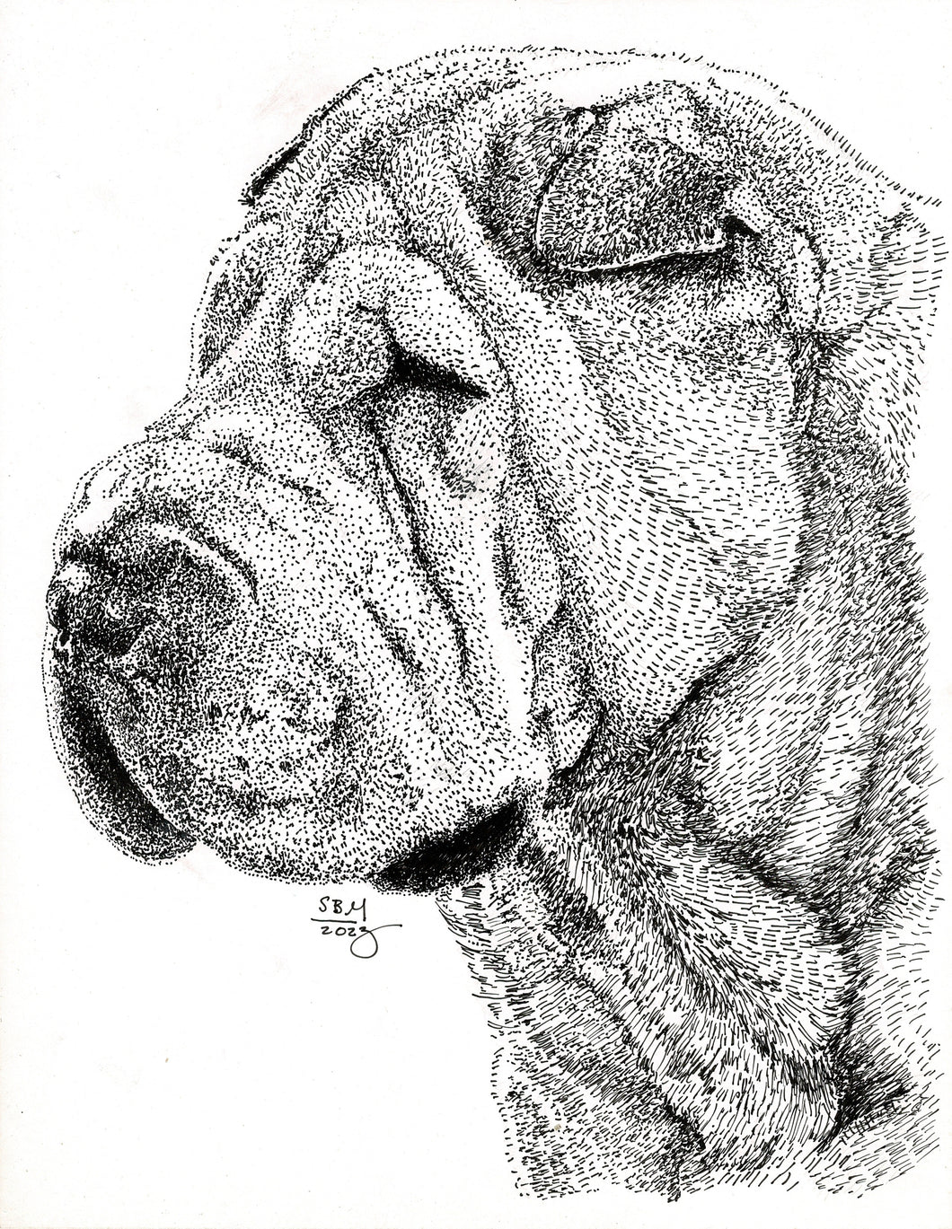 Shar Pei Print