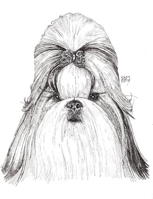 Shih Tzu Cards 10 Cards