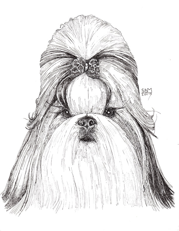 Shih Tzu Cards 10 Cards