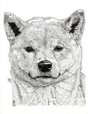 Shiba Inu Print