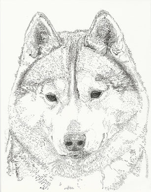 Siberian Husky Cards 10 Cards