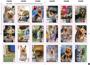 Silky Terrier Playing Cards
