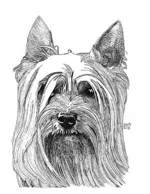 Silky Terrier Buzzy Print