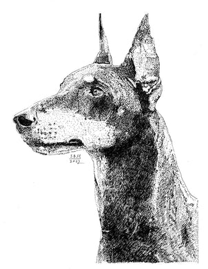 Manchester Terrier (Standard)