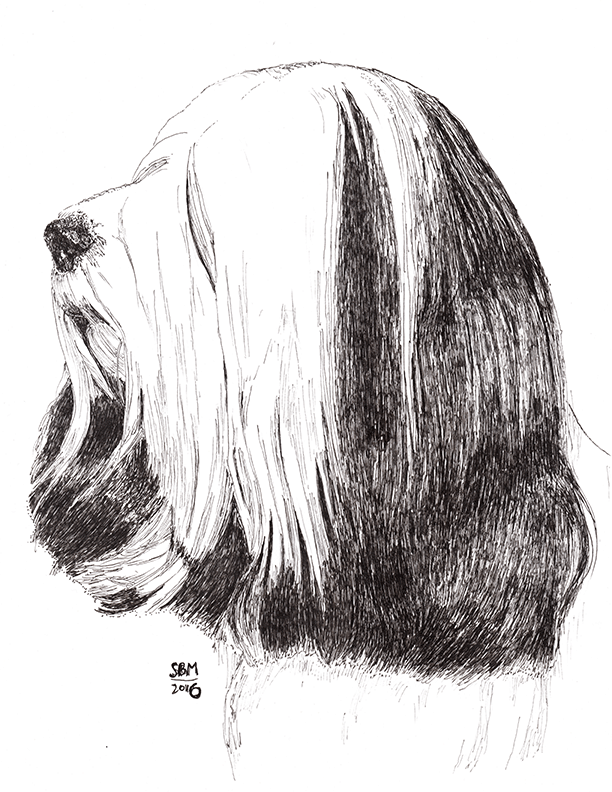 Tibetan Terrier Cards 10 Cards
