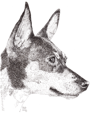 Toy Fox Terrier Print