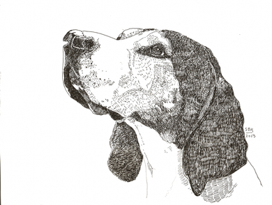 Treeing Walker Coonhound Print