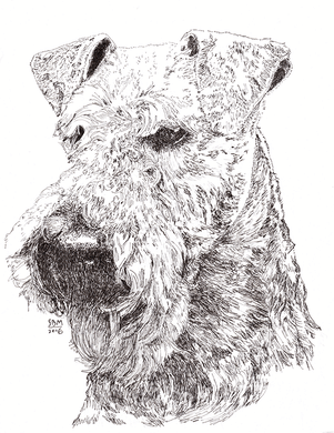 Welsh Terrier Cards 10 Cards