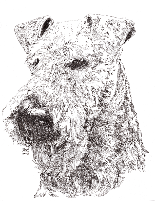 Welsh Terrier Cards 10 Cards