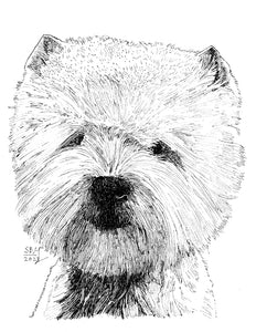 West Highland White Terrier Cards 10 cards