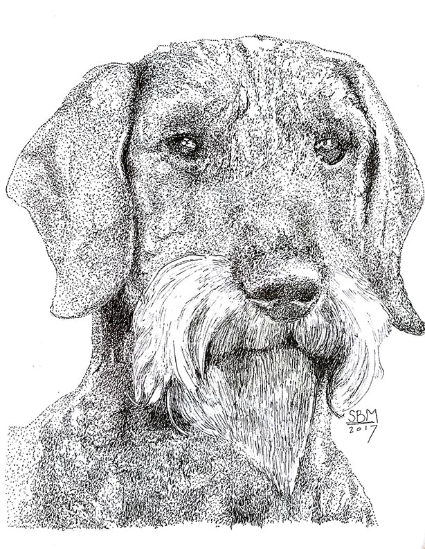 Dachshund Wire-Haired Print