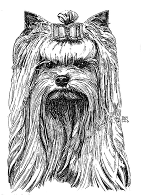 Yorkshire Terrier Cards 10 Cards