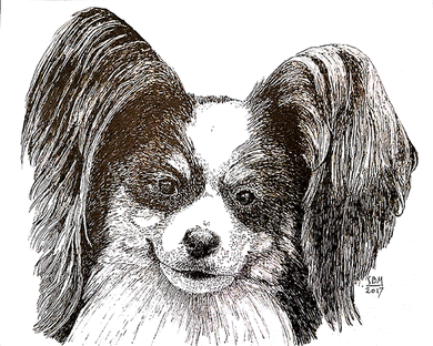Papillon Cards 10 Cards