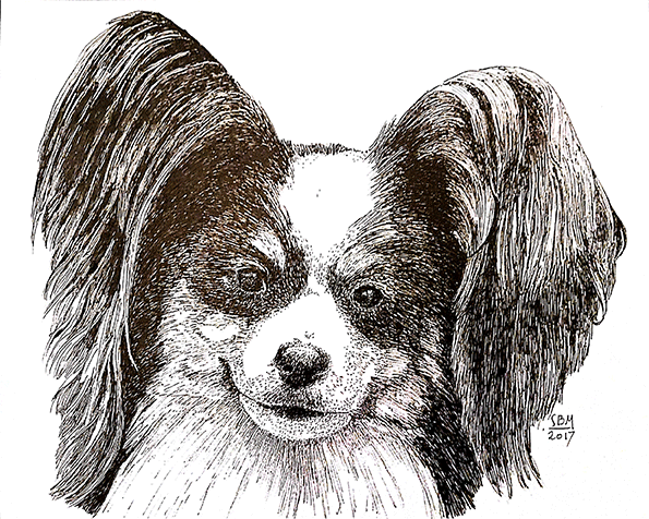 Papillon Cards 10 Cards